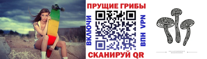 мориарти формула  blacksprut tor  Советск  наркотики  Псилоцибиновые грибы Cubensis 
