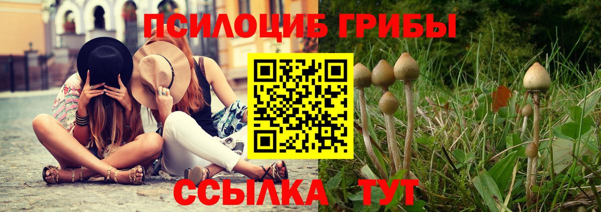 Псилоцибиновые грибы мицелий Советск