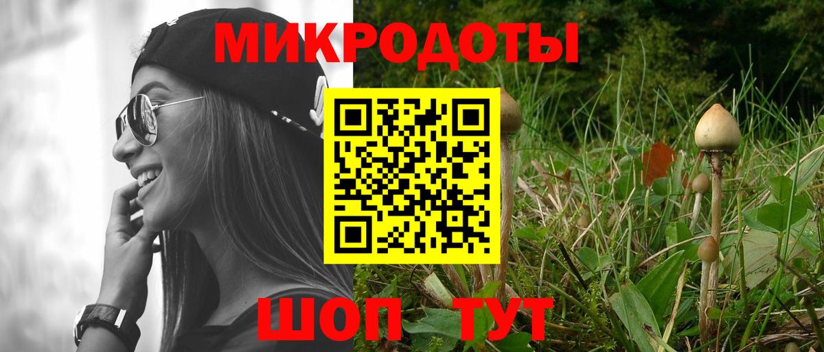 Псилоцибиновые грибы Magic Shrooms  Вход с VPN  Советск 